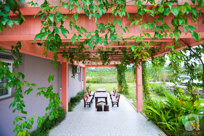 Ngôi nhà vườn xanh mát bóng cây của nữ giảng viên đại học chỉ cách Hà Nội 30 phút chạy xe - Ảnh 21.