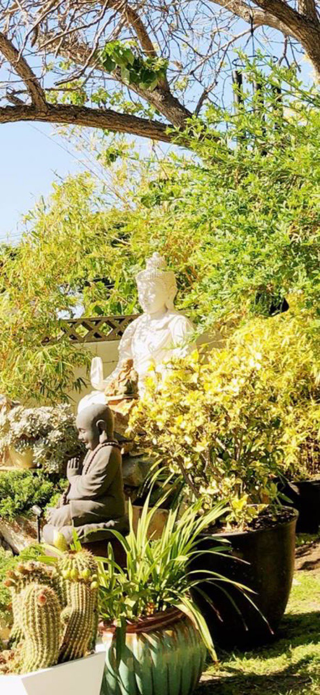 Ca sĩ Hồng Nhung khoe biệt thự triệu đô cùng sân vườn xanh mát cây cối ở Mỹ - Ảnh 18.